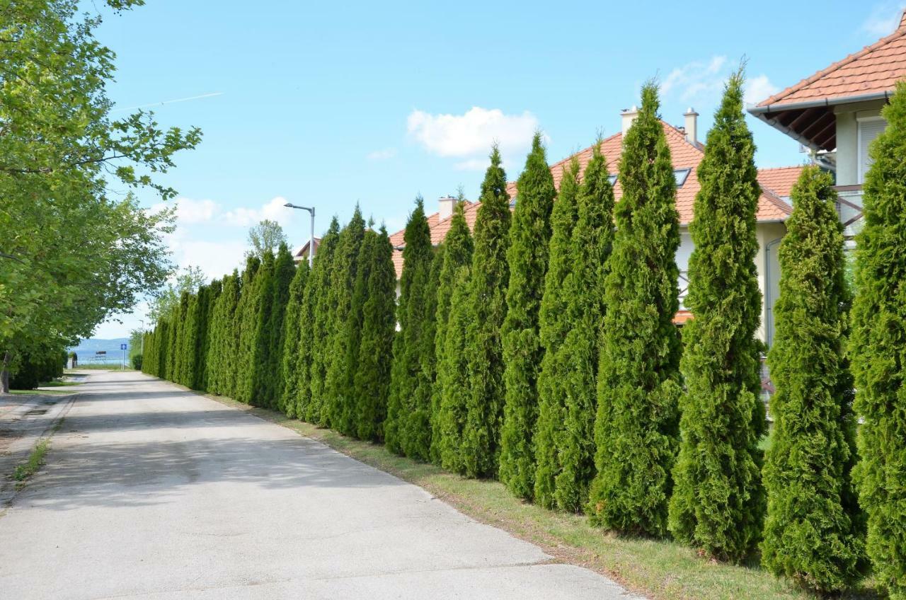 Vadszilva Apartman Balatonoszod Exterior foto